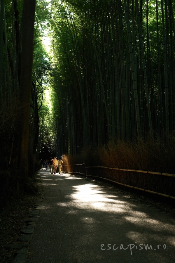 arashiyama padure bambus kyoto