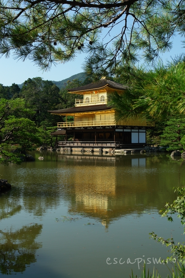 templu kinkakuji 01