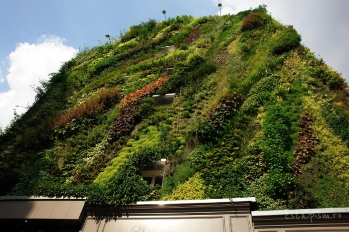 perete vegetal saint germain