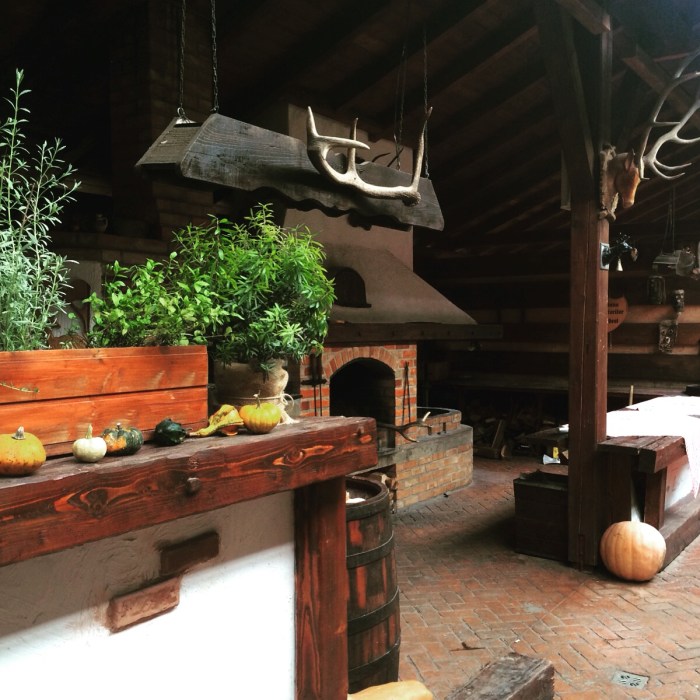 Cabana Vanatorilor terasa