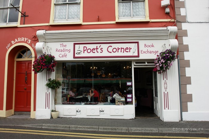 kinsale-cork-irlanda-culori-case-11