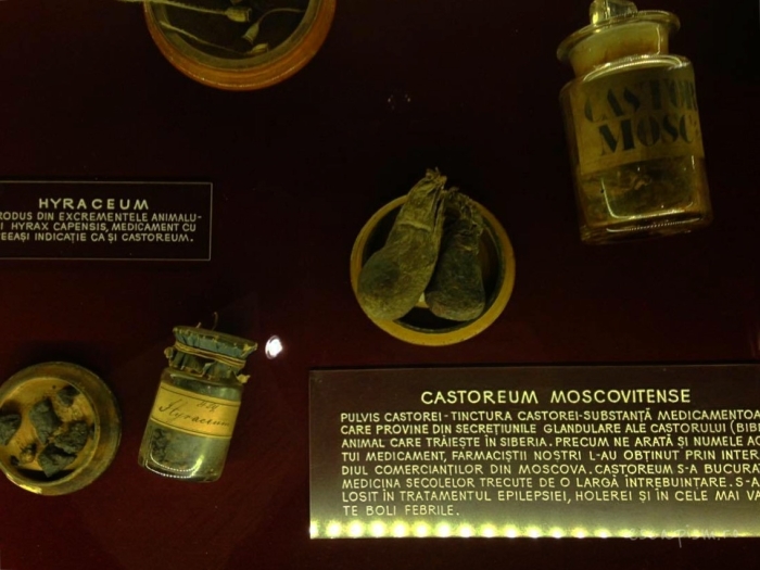 muzeul-farmaciei-cluj-vitrina-glande-castor