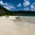 Radhanagar Beach insulele andaman plaje spectaculoase india