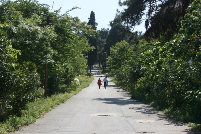 buyukada-Istanbul-plimbare-natura