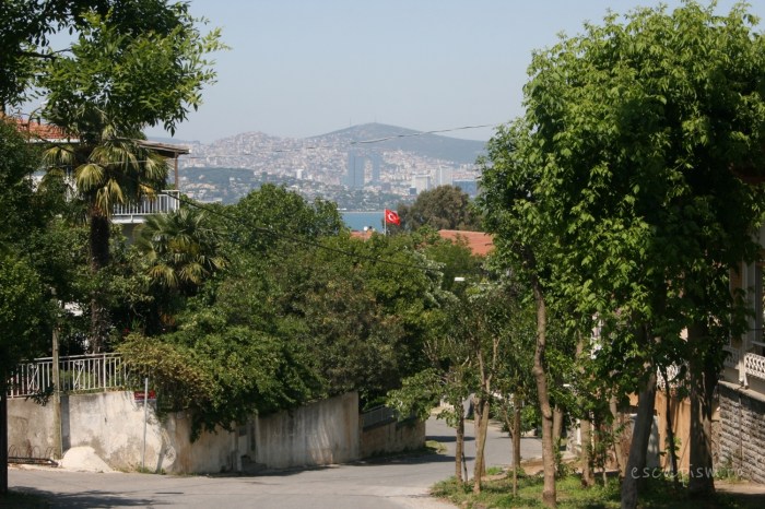 buyukada-Istanbul-plimbare-strazi