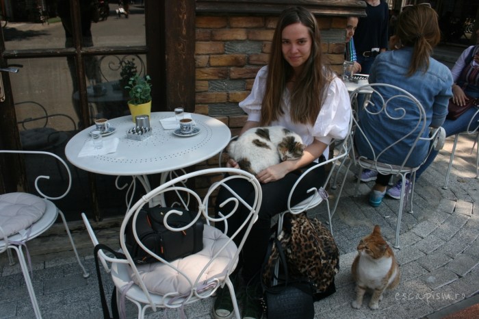 pisica-Buyukada-Istanbul-strada-Diana-masa-cafenea