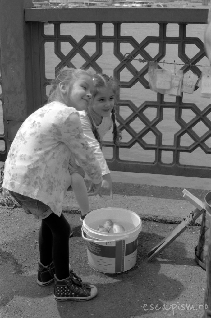 istanbul-galata-bridge-twins-fish