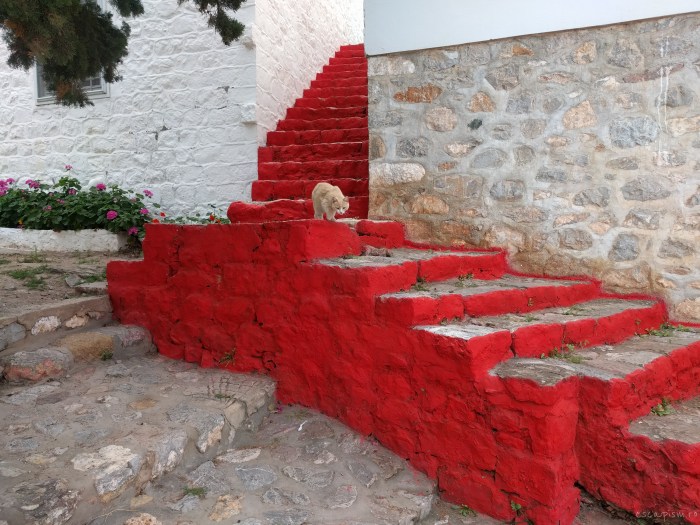 hydra-insula-grecia-scari-pisica